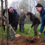 Het planten van fladderiepen in Heerlen (foto: Gertie Scherpenisse)